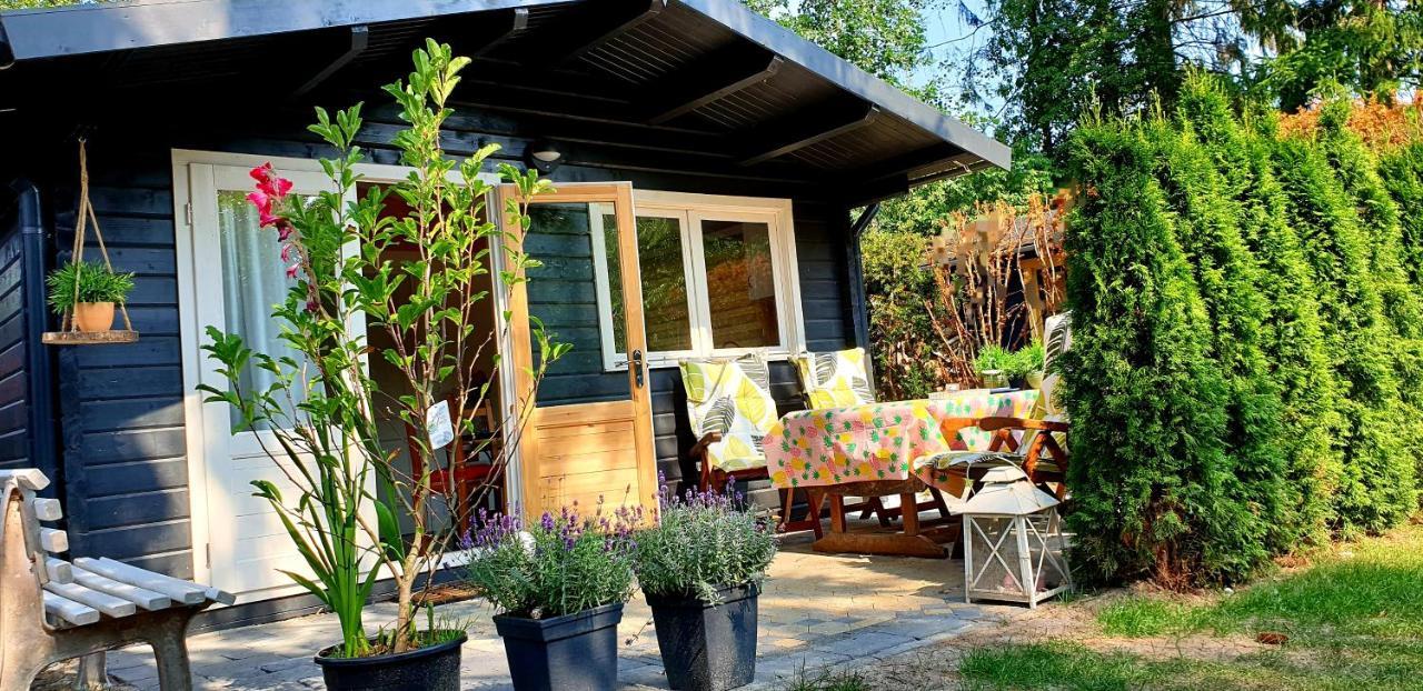 Guesthouse Vakantiehuis In Een Mooie Tuin In Het Centrum Van Zuidlaren! Exterior photo