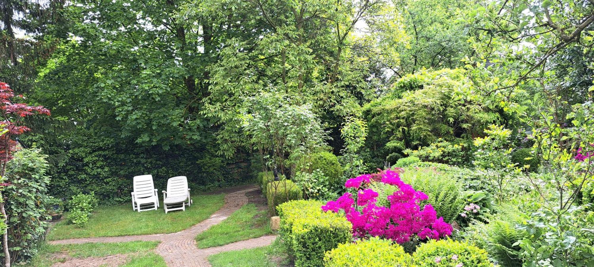 Guesthouse Vakantiehuis In Een Mooie Tuin In Het Centrum Van Zuidlaren! Exterior photo