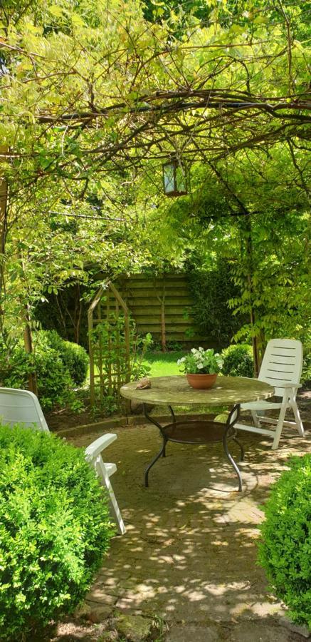 Guesthouse Vakantiehuis In Een Mooie Tuin In Het Centrum Van Zuidlaren! Exterior photo